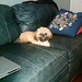 Etta Rose Photo 10