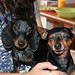Chucky Roberts Photo 6