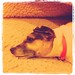 Kelvin Mate Photo 8