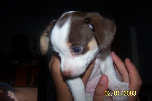 Kayla Sutherland Photo 7