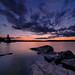 Peter Pine Photo 9