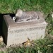 Alfred Griffith Photo 11