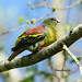 Bill Green Photo 44
