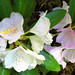 Rita Wells Photo 16
