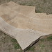Michael Purdy Photo 12