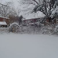 Deborah Connell Photo 9
