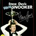 Steve Davis Photo 12