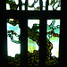 Charles Lange Photo 33