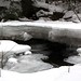 Steven Brooks Photo 18