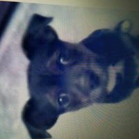 Clyde Mcdonald Photo 7