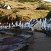 Mark Forsyth Photo 46