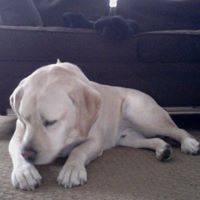 Lisa Zucker Photo 14