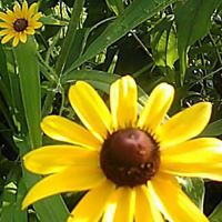 Linda Slade Photo 14