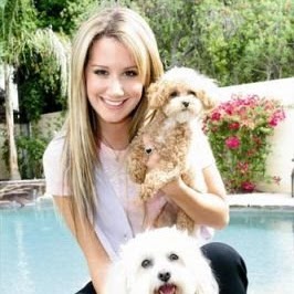 Amy Correia Photo 7
