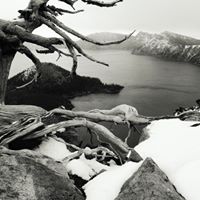 Kathleen Hooper Photo 10