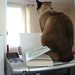 Ted Tobias Photo 6