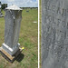 Eleanor Mckinney Photo 22