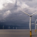 Lynn Power Photo 22