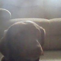 Barbara Hickle Photo 2