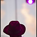 Robert Tolson Photo 28