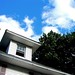 Debbie Eaves Photo 12
