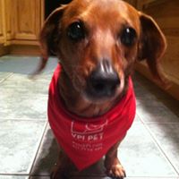 Cindy Houser Photo 15