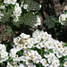 Pam Carson Photo 22