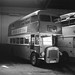 Dennis Roe Photo 20
