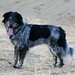 Randy Shoemaker Photo 24