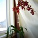 Patricia Mccully Photo 25