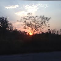 Lynn Roberts Photo 23