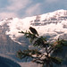 Jay Lake Photo 4