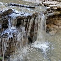 Kari Miller Photo 8