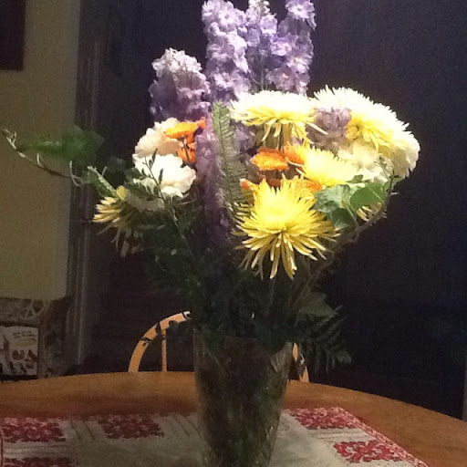 Nancy Dunlap Photo 25