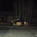 Diane Estes Photo 26