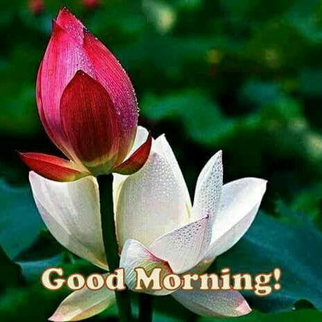 Amar Singh Photo 46