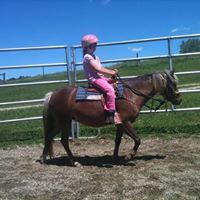 Ann Ramirez Photo 13