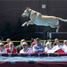 Steve Scheel Photo 5