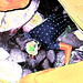 Sharon Cave Photo 15
