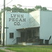 Lynn Calhoun Photo 15
