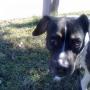 Terri Randall Photo 5