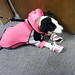 Vickie Russell Photo 32