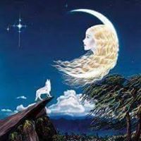 Debra Stinson Photo 27
