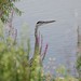 Dawn Ridgway Photo 7