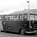 Marshall Green Photo 40