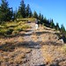 Lonnie Burns Photo 14