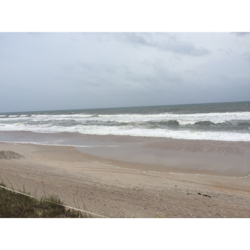 Kathy Mcgee Photo 19