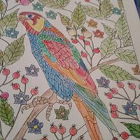 Sandra Bankston Photo 17