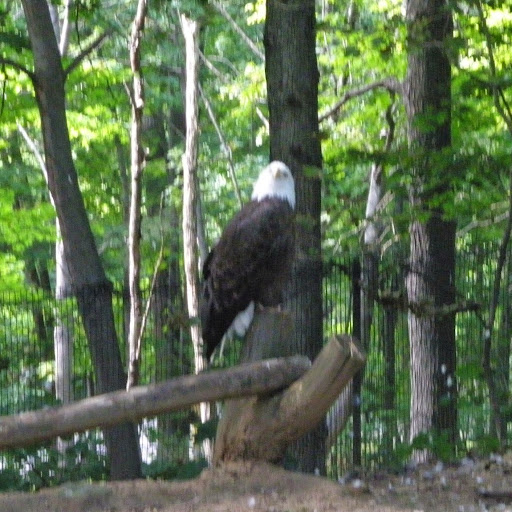Erica Robins Photo 11