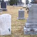 Timothy Parker Photo 37
